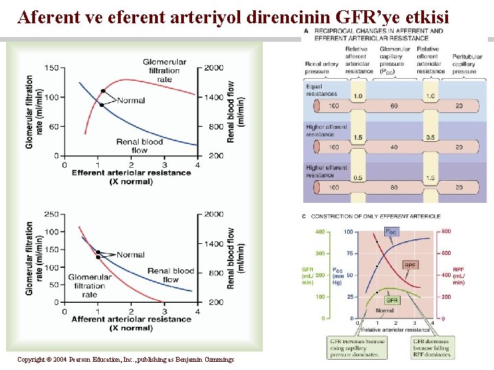 Aferent ve eferent arteriyol direncinin GFR’ye etkisi Copyright © 2004 Pearson Education, Inc. ,