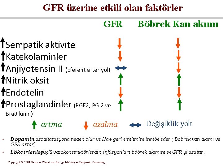 GFR üzerine etkili olan faktörler GFR Böbrek Kan akımı Sempatik aktivite Katekolaminler Anjiyotensin II