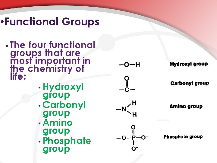  • Functional Groups • The four functional groups that are most important in