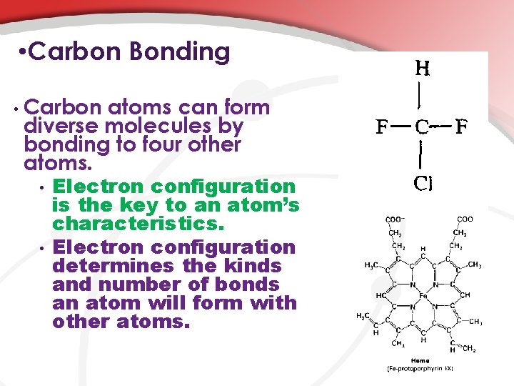  • Carbon Bonding • Carbon atoms can form diverse molecules by bonding to