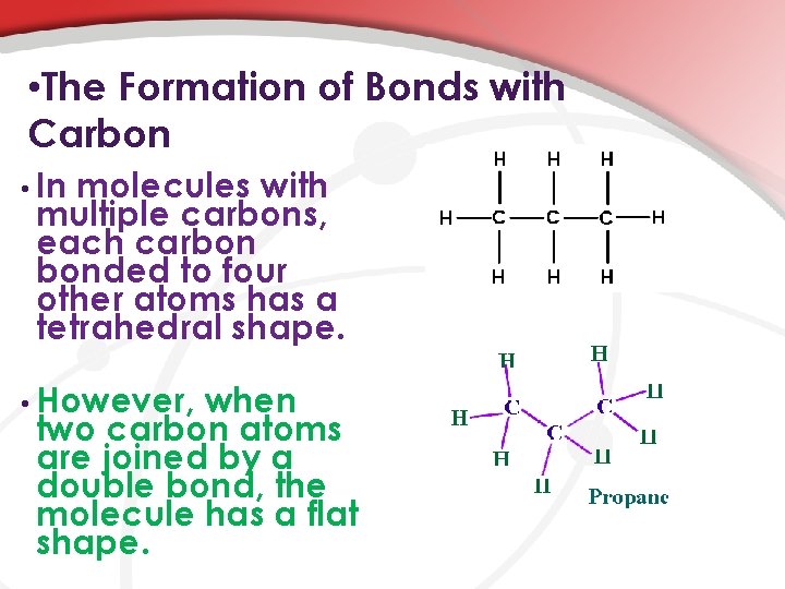  • The Formation of Bonds with Carbon • In molecules with multiple carbons,