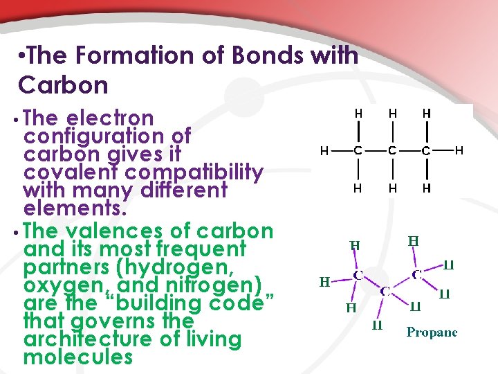  • The Formation of Bonds with Carbon • The electron configuration of carbon
