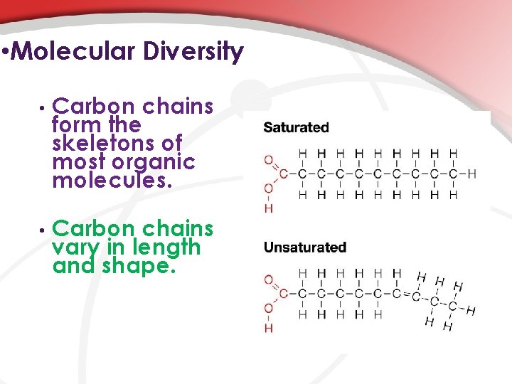  • Molecular Diversity • Carbon chains form the skeletons of most organic molecules.