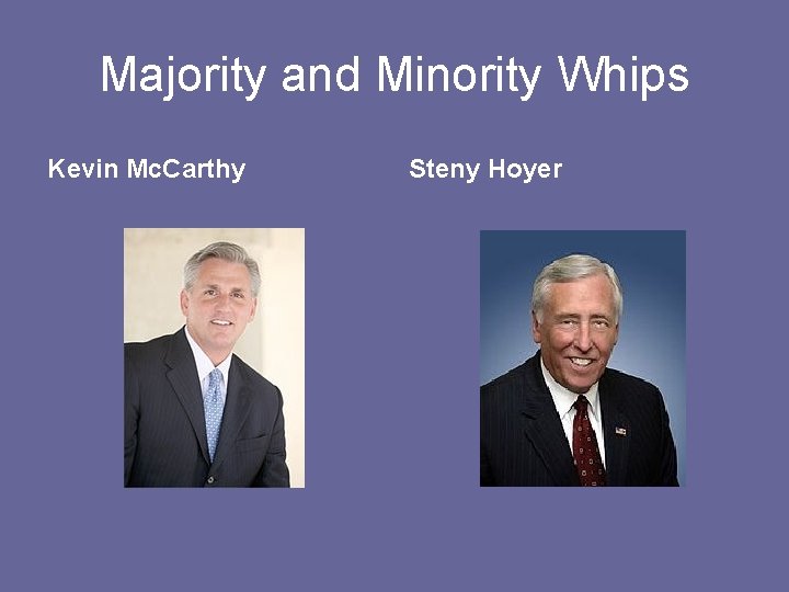 Majority and Minority Whips Kevin Mc. Carthy Steny Hoyer 