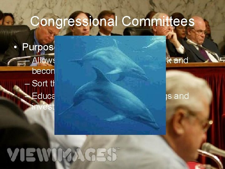 Congressional Committees • Purposes of Committees – Allows members to divide their work and