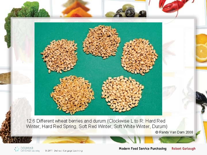 12. 6 Different wheat berries and durum (Clockwise L to R: Hard Red Winter,