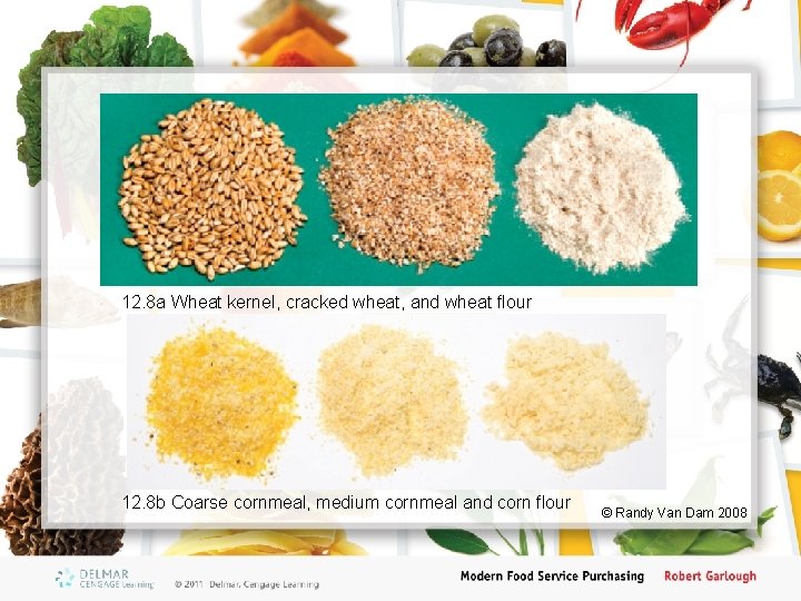 12. 8 a Wheat kernel, cracked wheat, and wheat flour 12. 8 b Coarse