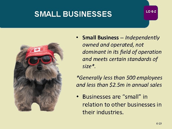 SMALL BUSINESSES LO 6 -2 • Small Business -- Independently owned and operated, not