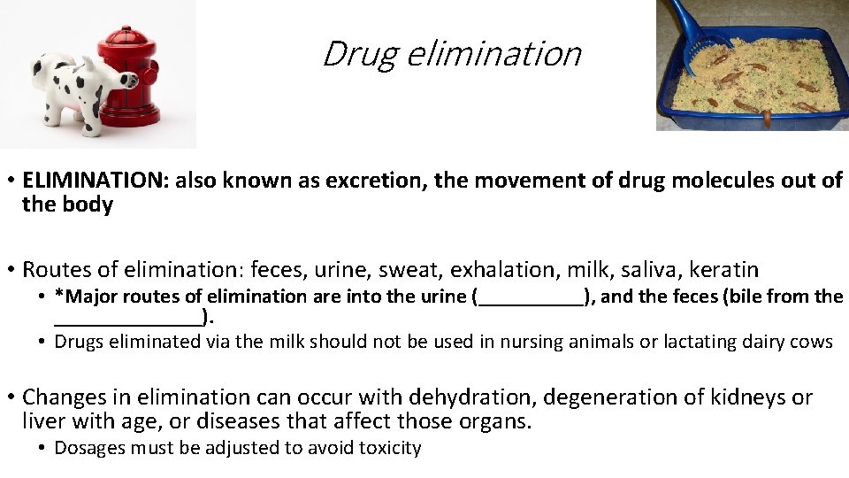 Drug elimination • ELIMINATION: also known as excretion, the movement of drug molecules out