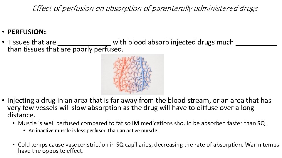 Effect of perfusion on absorption of parenterally administered drugs • PERFUSION: • Tissues that