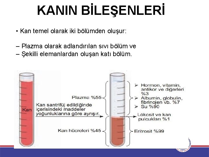 KANIN BİLEŞENLERİ • Kan temel olarak iki bölümden oluşur: – Plazma olarak adlandırılan sıvı