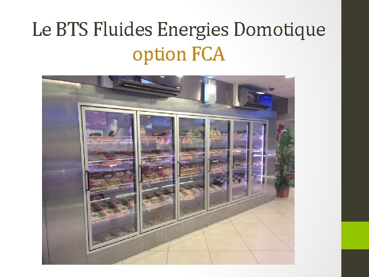 Le BTS Fluides Energies Domotique option FCA 