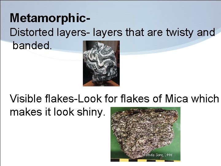 Metamorphic. Distorted layers- layers that are twisty and banded. Visible flakes-Look for flakes of