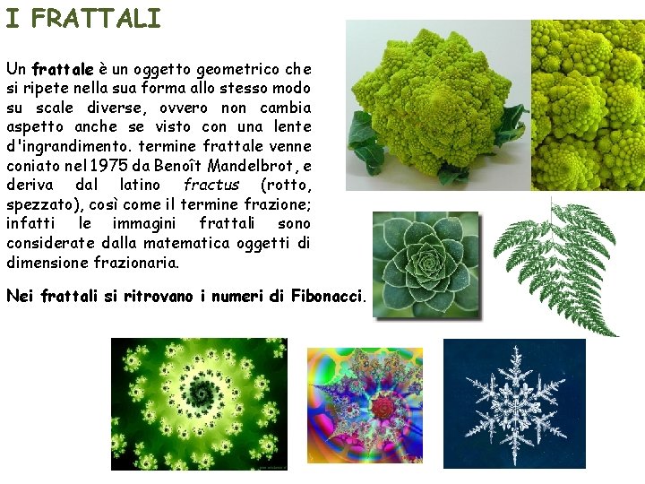 I FRATTALI Un frattale è un oggetto geometrico che si ripete nella sua forma