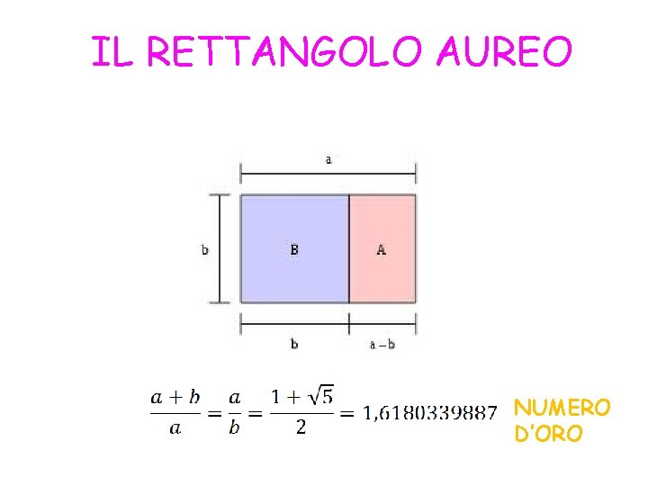 IL RETTANGOLO AUREO NUMERO D’ORO 