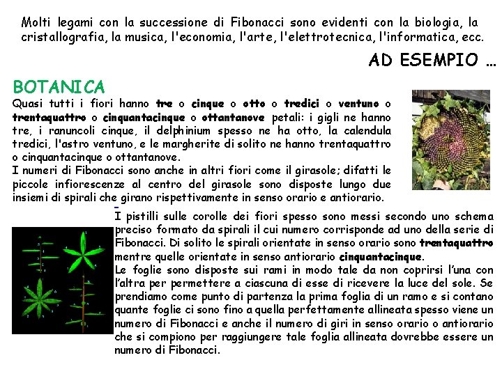 Molti legami con la successione di Fibonacci sono evidenti con la biologia, la cristallografia,