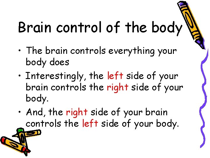 Brain control of the body • The brain controls everything your body does •