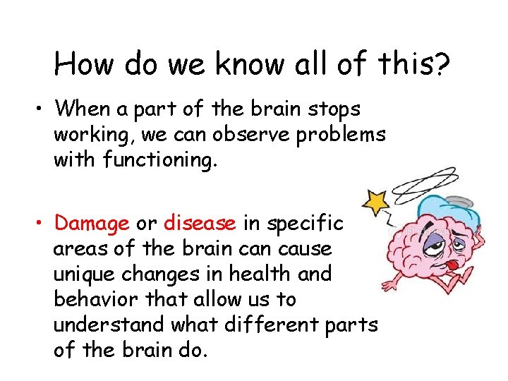 How do we know all of this? • When a part of the brain