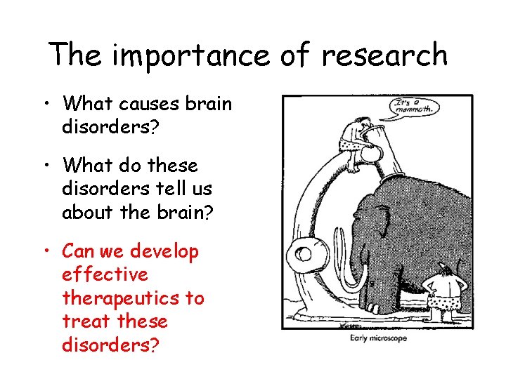 The importance of research • What causes brain disorders? • What do these disorders