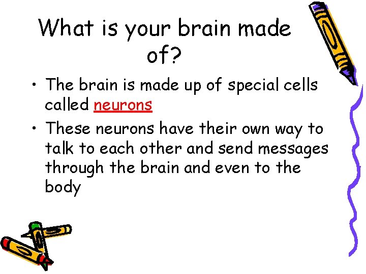 What is your brain made of? • The brain is made up of special