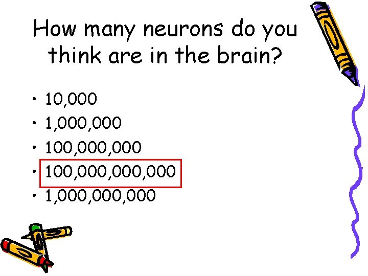 How many neurons do you think are in the brain? • • • 10,