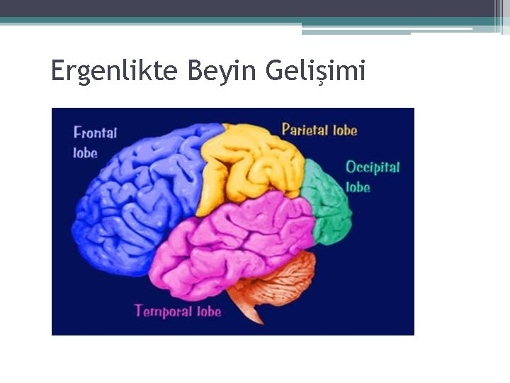 Ergenlikte Beyin Gelişimi 