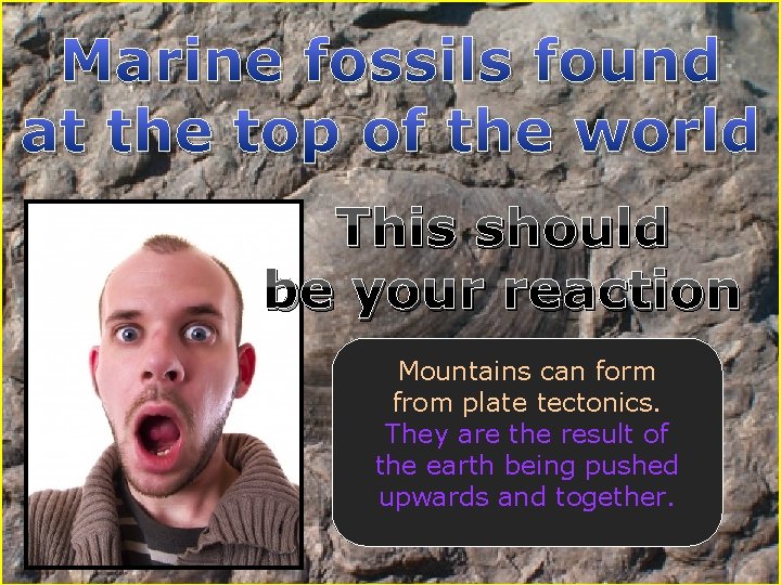 Marine fossils found at the top of the world This should be your reaction