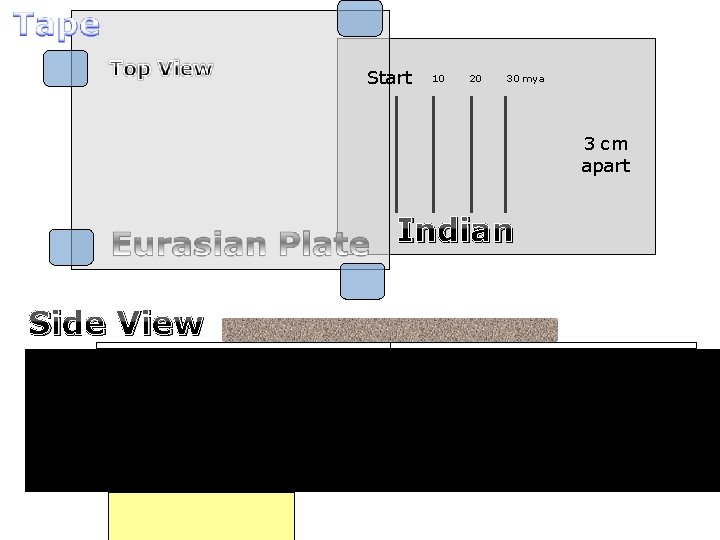 Start 10 20 30 mya 3 cm apart Indian Side View 