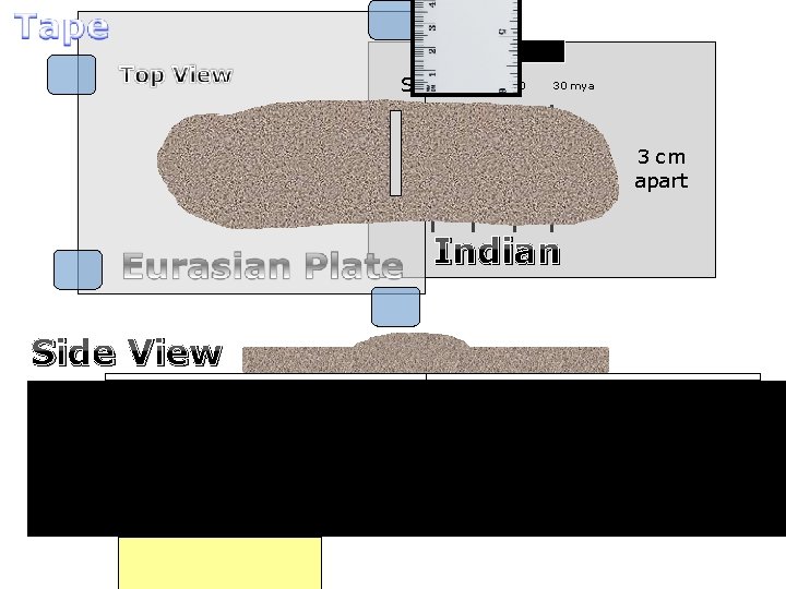 Start 10 20 30 mya 3 cm apart Indian Side View 