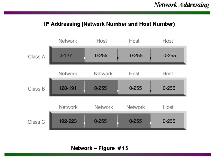 Network Addressing IP Addressing (Network Number and Host Number) Network – Figure # 15
