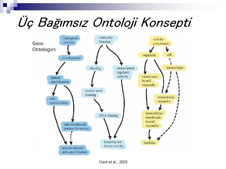 Üç Bağımsız Ontoloji Konsepti Clark et al. , 2005 