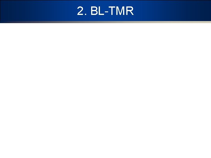 2. BL-TMR 