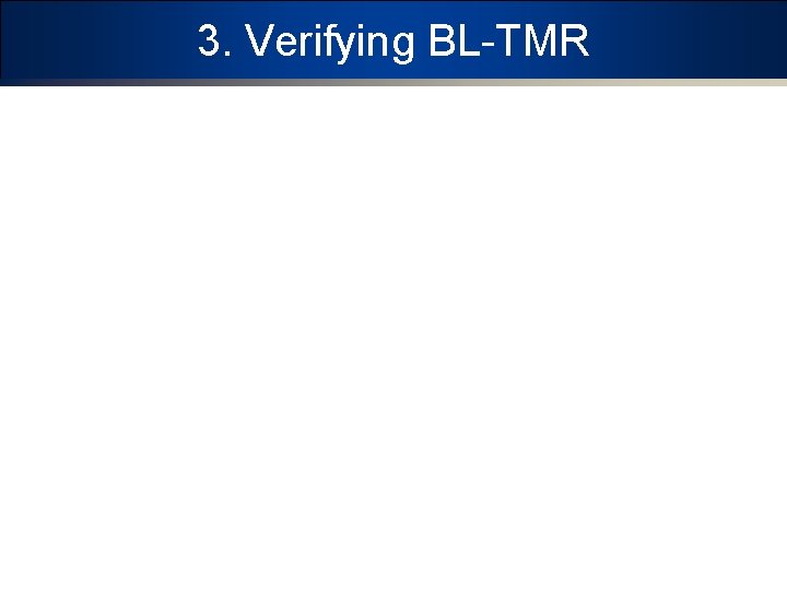 3. Verifying BL-TMR 