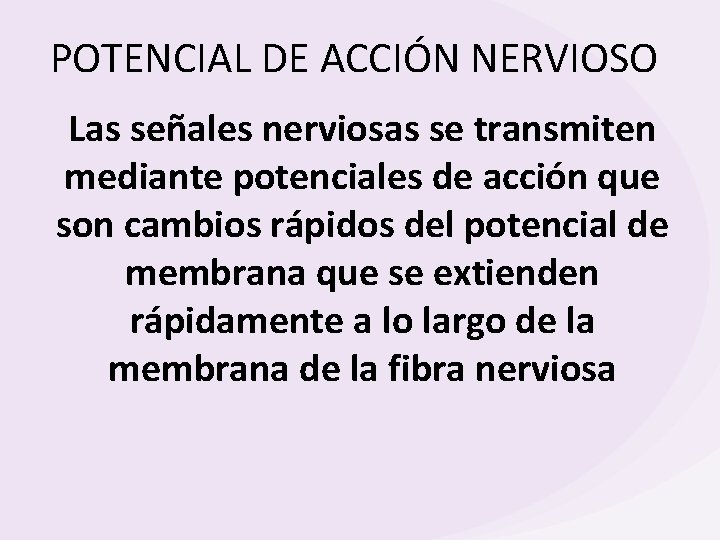 POTENCIAL DE ACCIÓN NERVIOSO Las señales nerviosas se transmiten mediante potenciales de acción que