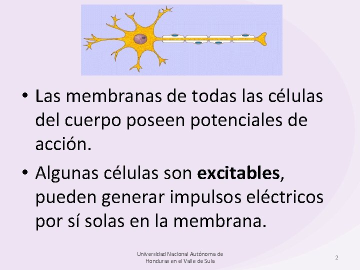 • Las membranas de todas las células del cuerpo poseen potenciales de acción.