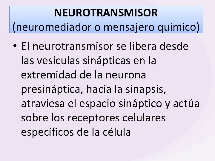 NEUROTRANSMISOR (neuromediador o mensajero químico) • El neurotransmisor se libera desde las vesículas sinápticas