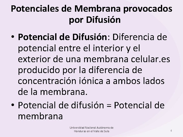 Potenciales de Membrana provocados por Difusión • Potencial de Difusión: Diferencia de potencial entre