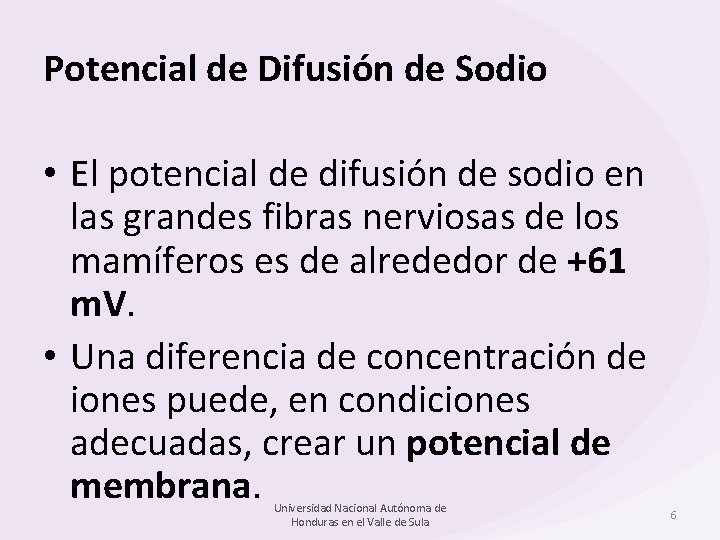 Potencial de Difusión de Sodio • El potencial de difusión de sodio en las