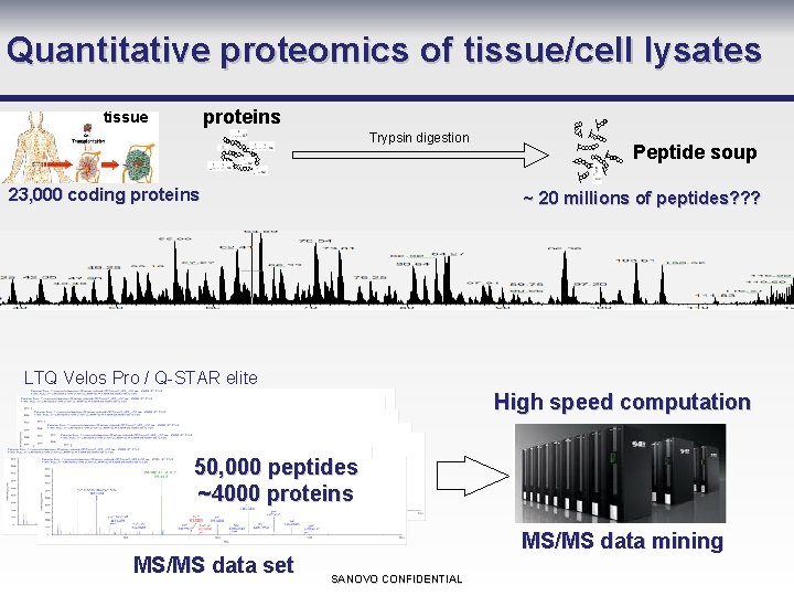 Quantitative proteomics of tissue/cell lysates proteins tissue Trypsin digestion 23, 000 coding proteins Peptide