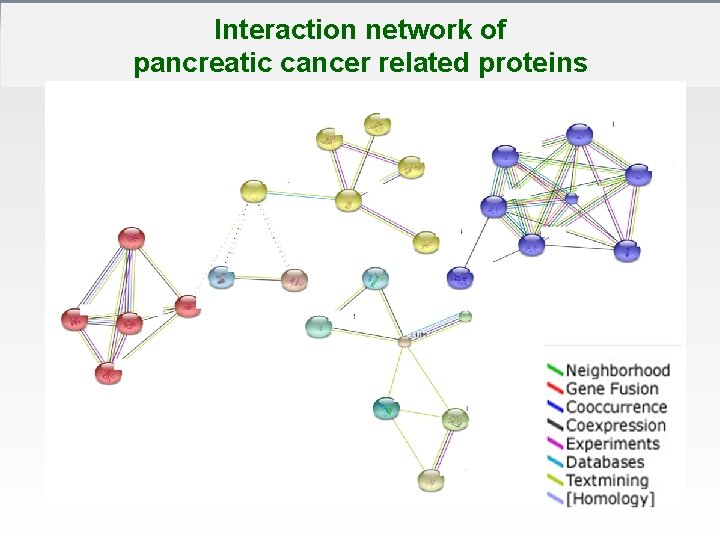 Interaction network of pancreatic cancer related proteins 