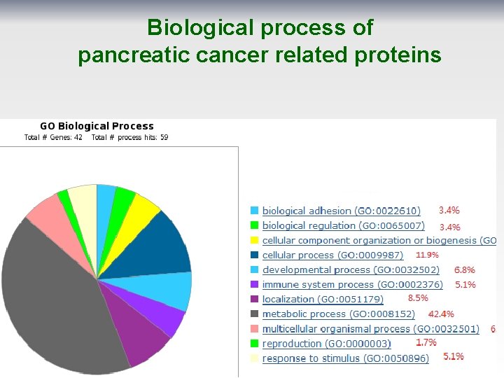 Biological process of pancreatic cancer related proteins 