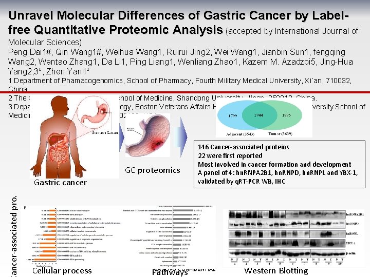 Unravel Molecular Differences of Gastric Cancer by Labelfree Quantitative Proteomic Analysis (accepted by International