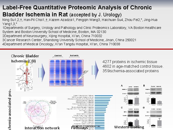 Label-Free Quantitative Proteomic Analysis of Chronic Bladder Ischemia in Rat (accepted by J. Urology)