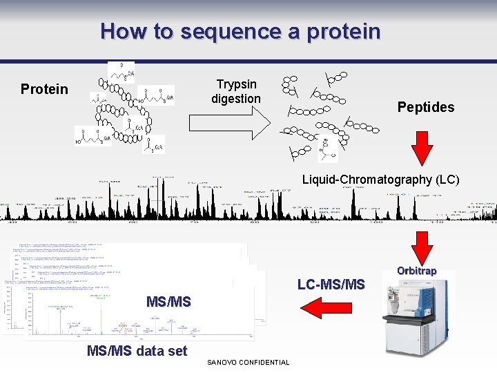 How to sequence a protein Trypsin digestion Protein Peptides Liquid-Chromatography (LC) LC-MS/MS data set