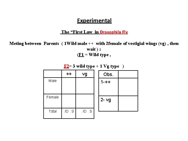 Experimental The “First Law in Drosophila Fly Meting between Parents ( 1 Wild male