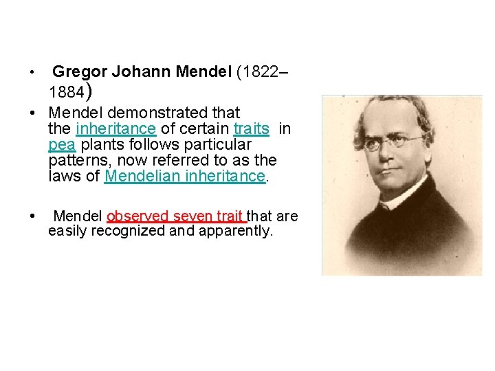 Gregor Johann Mendel (1822– 1884) • Mendel demonstrated that the inheritance of certain traits