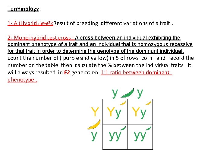 Terminology: 1 - A (Hybrid )ﺗﻬﺠﻴﻦ : Result of breeding different variations of a