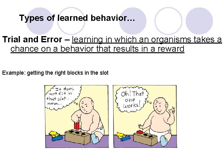 Types of learned behavior… Trial and Error – learning in which an organisms takes