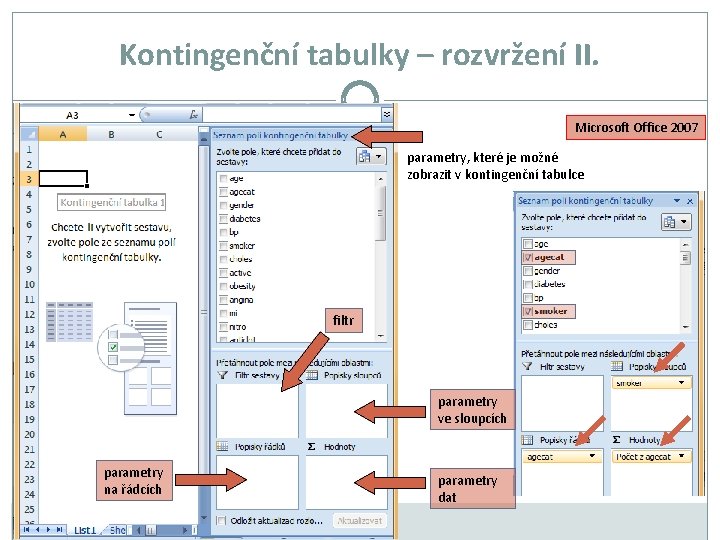 Kontingenční tabulky – rozvržení II. Microsoft Office 2007 parametry, které je možné zobrazit v