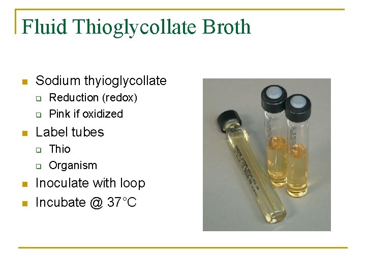Fluid Thioglycollate Broth n Sodium thyioglycollate q q n Label tubes q q n